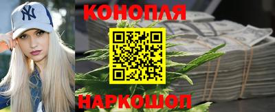 прущие грибы Ирбит