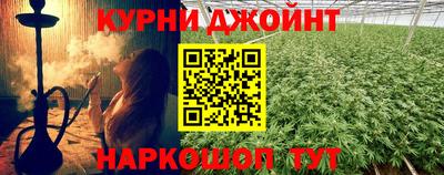 прущие грибы Ирбит