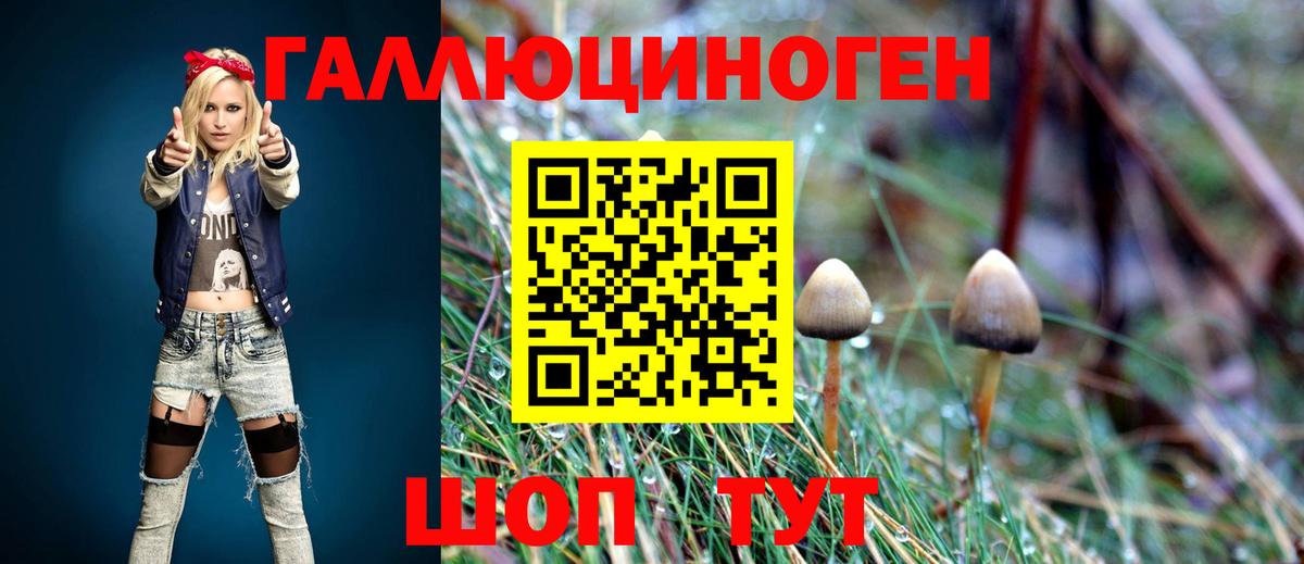 Псилоцибиновые грибы MAGIC MUSHROOMS  Вход с VPN  Знаменск 