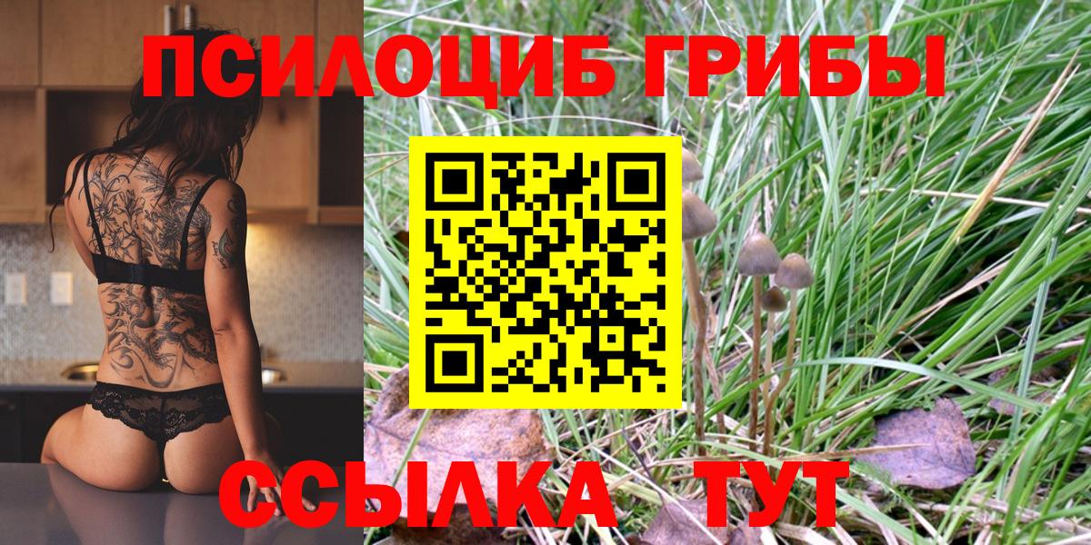 Галлюциногенные грибы мухоморы Знаменск